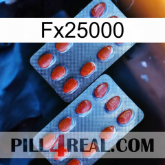 Fx25000 05